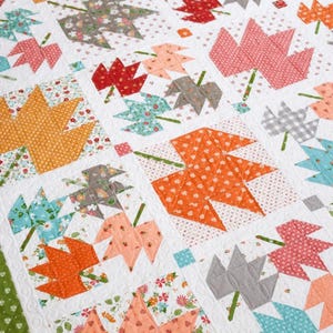May include: A patchwork quilt featuring a repeating pattern of stylized autumn leaves in various colors, including orange, red, gray, and teal. The leaves are set against a white background with floral and dotted patterns. The quilt has a green border.