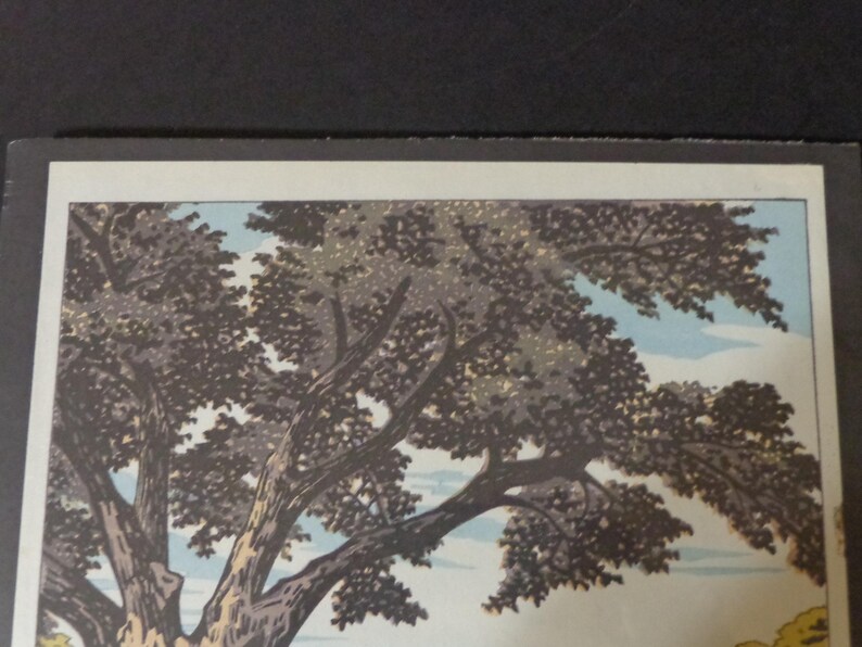 Pu&ograve; includere: Una stampa incorniciata con un'illustrazione dettagliata di un grande albero con una chioma tentacolare. I rami e le foglie dell'albero sono resi in tonalit&agrave; di marrone e grigio, su uno sfondo di cielo azzurro. L'opera d'arte ha un'estetica vintage.