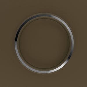 Peut inclure: Une bague en argent avec une finition polie.