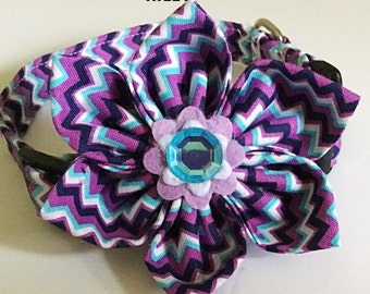 Purple & Aqua Chevron Flower Collar for Female Dogs and Cats- "Riley"