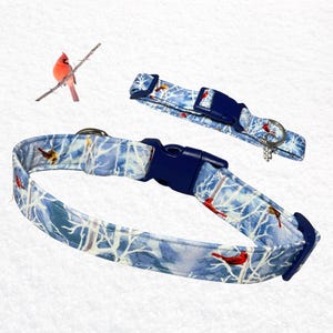 May include: A dog collar and matching leash featuring a winter scene with red cardinal birds and white branches on a blue background. The collar has a dark blue buckle and a silver metal ring for attaching a leash. A small snowflake charm hangs from the leash.