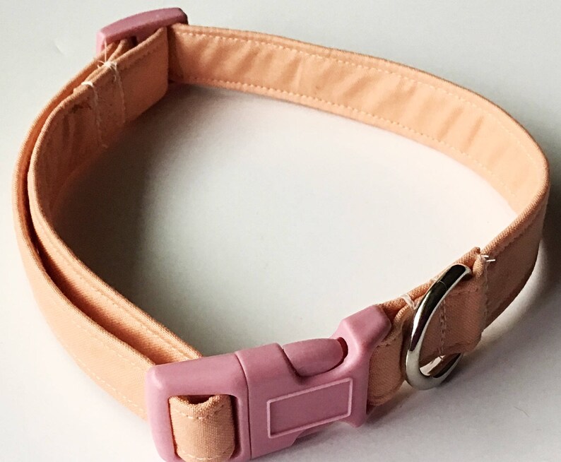Solid Peach Dog Leash Etsy