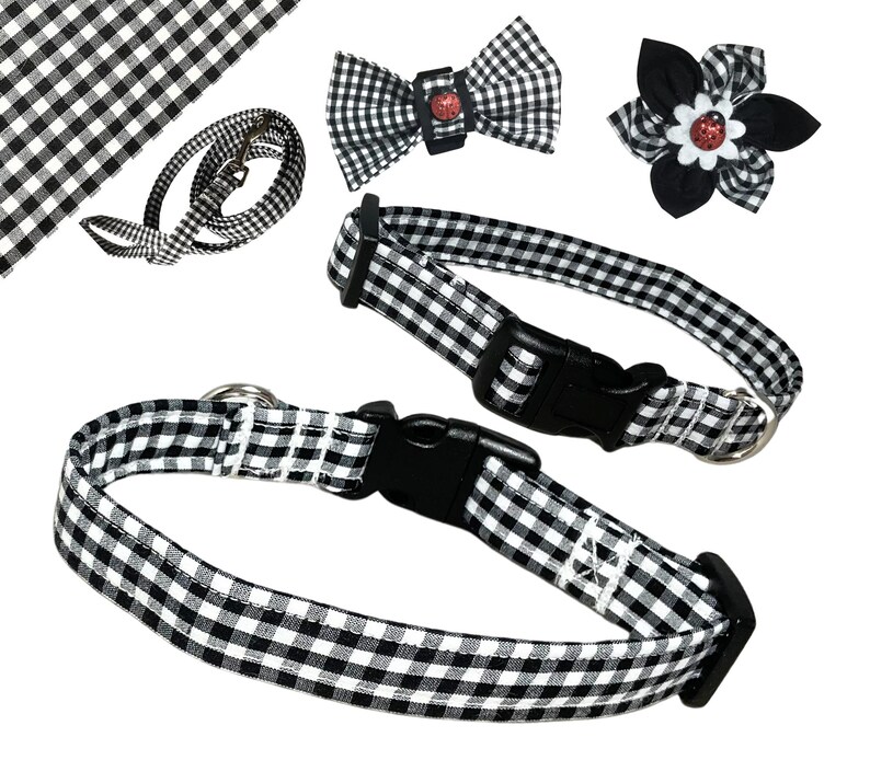 a black and white checkered dog collar, leash, and bow tie