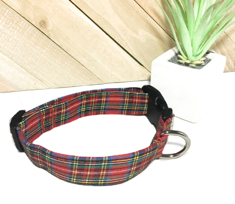 May include: Red, green, and yellow plaid dog collar with a black buckle and silver D-ring.