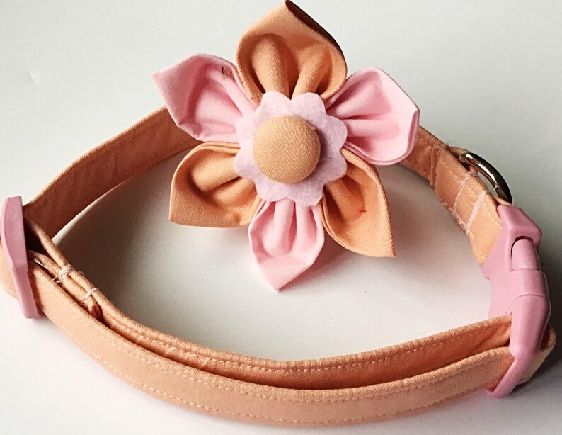 Solid Peach Dog Leash Etsy