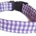 see more listings in the Dog & Cat Collars section