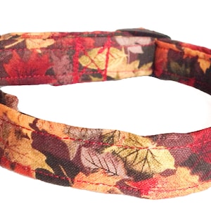 Fall Seasonal  Leaves Dog and Cat Collar with  Available Matching Accessories