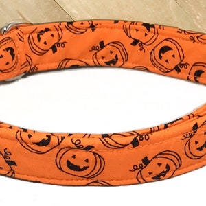 Orange and Black Halloween Pumpkin Collar for Dogs and Cats