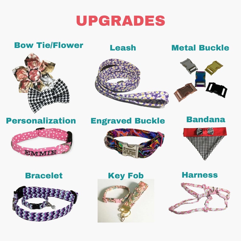 a bunch of different types of dog collars