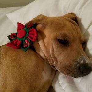 Red & Green Christmas Flower Collar for Girl Dogs and Cats image 3