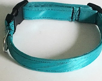 Turquoise Collar for Girl Dogs and Cats