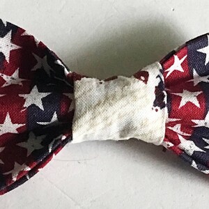 4th of July Patriotic Bow Tie for Male Dog or Cat