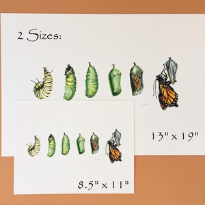 Monarch Butterfly Art Print image 4