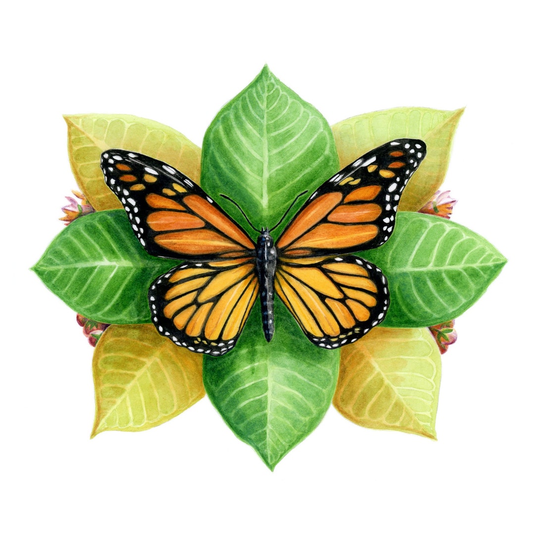 3 Monarch Butterfly Greeting Cards With Envelopes - Etsy