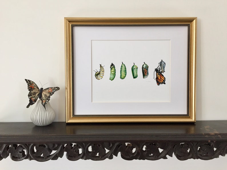 Monarch Butterfly Art Print image 8