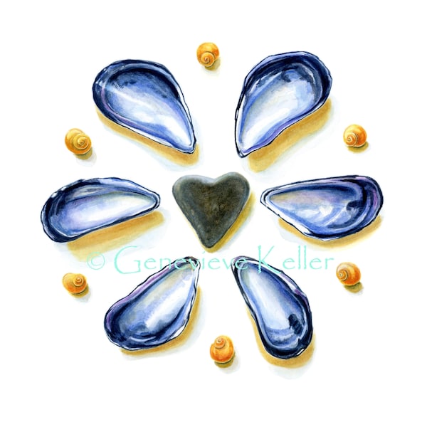 Shells Art Print, Heart-Shaped Beach Stone Art, Maine Mussel Shells