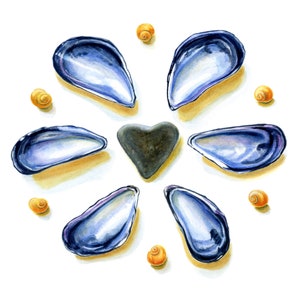 Tarjeta de conchas de playa, conchas de mejillón y piedras de playa