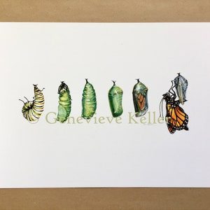 Monarch Butterfly Art Print image 7