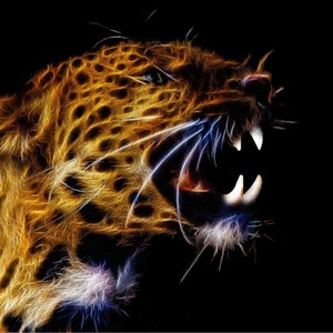 Jaguar Pattern