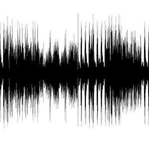 May include: A black and white audio waveform, showing a sound recording.