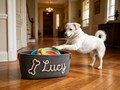 Personalized Pet Dog Toy Basket: Custom Dog or Cat Storage Bin, Pet New Home Gifts product logo