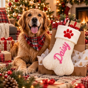 May include: A golden retriever wearing a red and green plaid bandana sits beside a cream-colored, bone-shaped Christmas stocking. The stocking features a red paw print on the cuff and the name Daisy embroidered in pink script lettering.