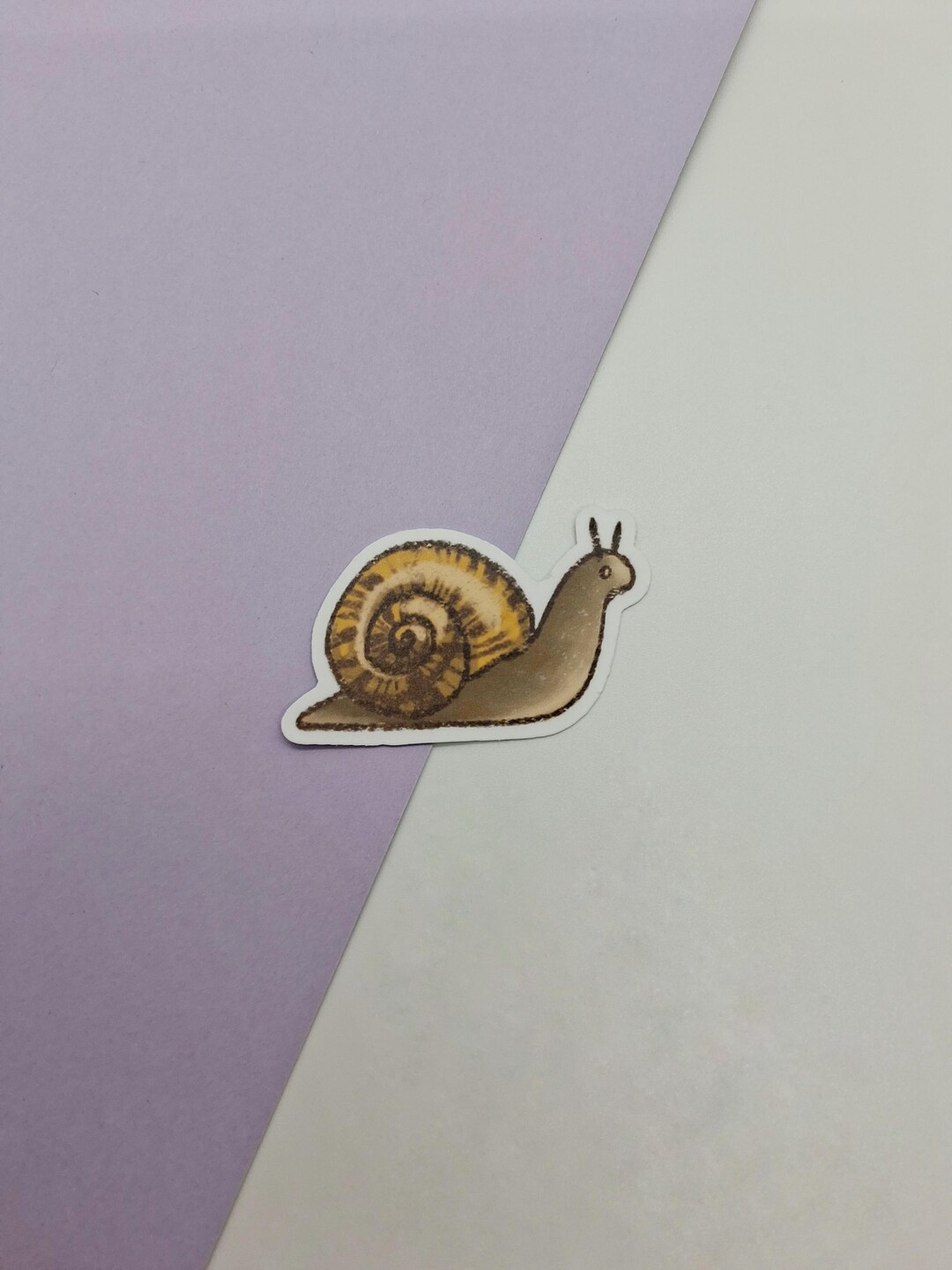 Hand-designed Matte Vinyl Snail Sticker – Whimsical Nature Art - Etsy