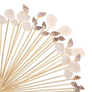 May include: A collection of decorative skewers featuring natural seashells. The skewers are made of light brown wood and are topped with various types of seashells in shades of white, tan, and brown. The arrangement is against a white background.