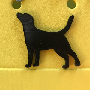 May include: Black silhouette of a dog standing on a yellow background.