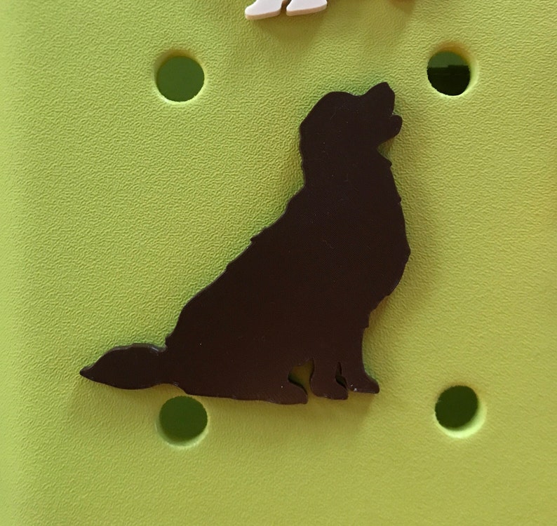 May include: A black silhouette of a dog sitting on a light green background.