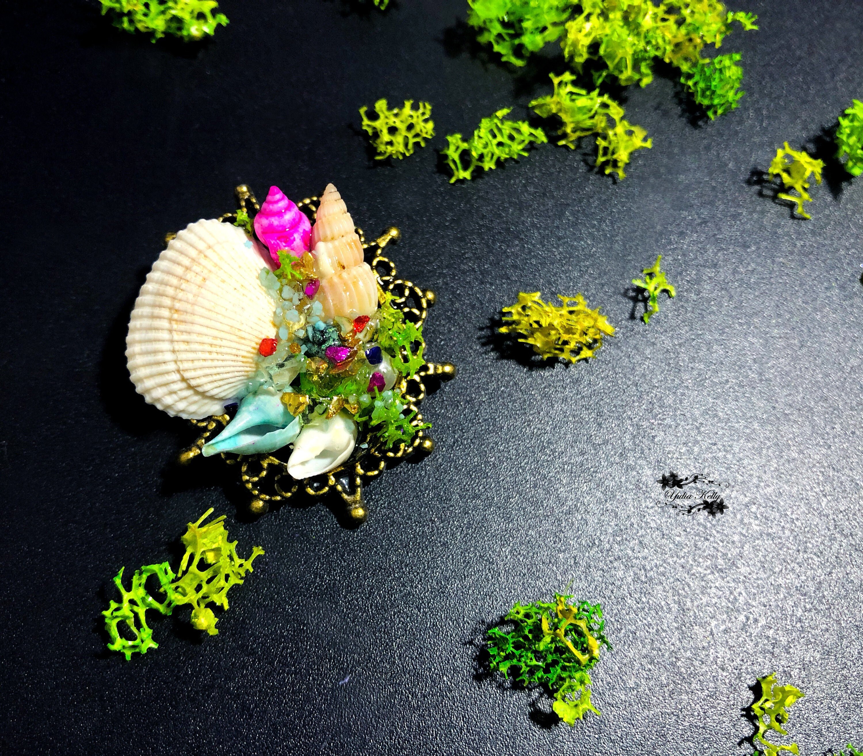 Shell Brooce Seashell Brooch, Pacific Ocean Shells, Bronze Fittings, Handmade Moss ...