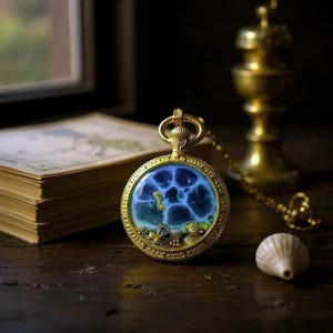 Sea Life-ketting, ketting water, ketting echte schelpen, ketting oceaan, oceaanharsketting, ketting oceaanhars, ketting zeekristallen, ketting zee-epoxy