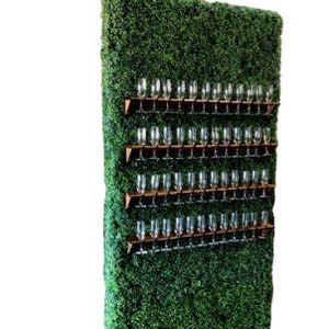 Champagne Wall in affitto in Illinois