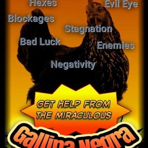 Gallina Negra Spiritueller Service/Nachricht an mich nach dem Kauf! Es ist sehr wichtig!