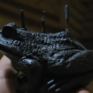 May include: A black frog figurine with a textured surface and a few small metal spikes on its back.
