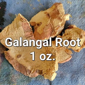 Dried Galanga Slice Root 1 Ounce