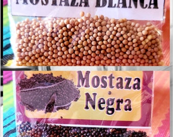 Sementes de Mostarda/Semillas de Mostaza