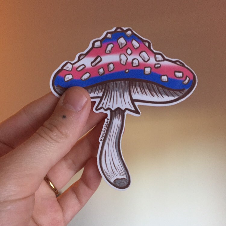 Pride Mushroom Sticker Queer Art LGBTQ Art Transgender Etsy