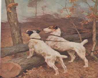AIREDALE BITCH DOG ANIMAL PAINTING BY ARTHUR WARDLE REPRO 