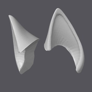 Uszy 3D Canid