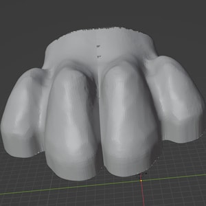 Könnte beinhalten: Ein 3D-gedrucktes Modell einer Pfote mit vier Zehen. Der Abdruck ist aus hellgrauem Kunststoff und hat eine glatte, abgerundete Oberfläche.