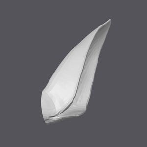 Puede incluir: Una oreja blanca, renderizada en 3D, posiblemente élfica o de temática fantástica, sobre un fondo gris. La oreja tiene un diseño geométrico suave con sombreado sutil, lo que sugiere un modelo o escultura digital.