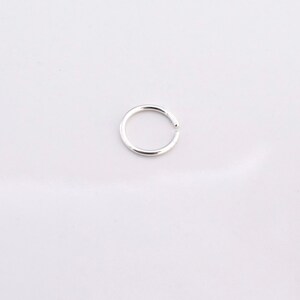 K&ouml;nnte beinhalten: Ein silberner Nasenring.