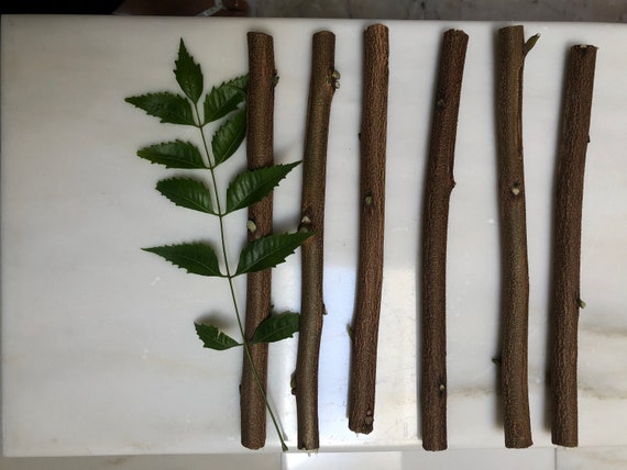 Neem twigs online cheap