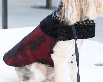 Royalty Dog Vest