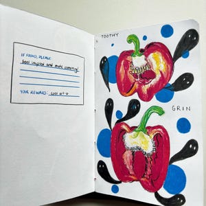 Sketchbook Zine - Alternative Art Book, Drawings, Collage, Mixed Media Journal | Pocket Sized Doodles for Inspiration | Gifts for Creatives