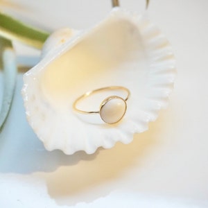 May include: A gold ring with a white oval gemstone set in a simple band. The ring is displayed on a white seashell.