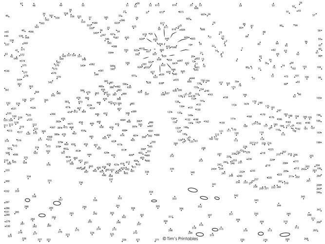 Sea Shells Dot-to-dot / Connect the Dots - 660 Dots - Etsy