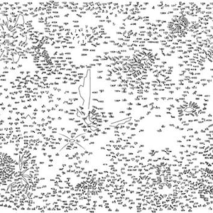 Może przedstawiać: Czarno-biała łamigłówka typu „połącz kropki” przedstawiająca różne wzory kwiatowe. Łamigłówka zawiera liczby od 1 do 600.