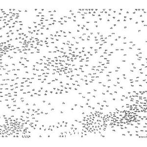 Può includere: Un puzzle in bianco e nero da collegare i punti con numeri da 1 a 450. Il puzzle è progettato per creare un'immagine di un fiore.